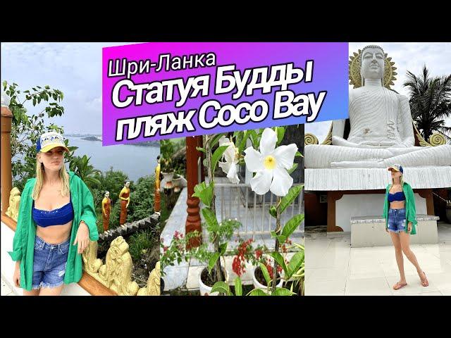 ШРИ-ЛАНКА 2022 | БУДДА и пляж CocoBay