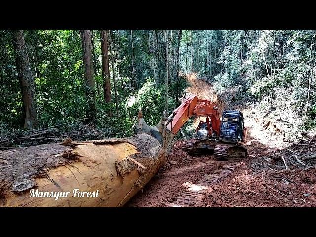 Kongsi Excavator Kumatsu PC 200 dan Hitachi Zaxis 210 F Sarad/Skidding Logs Besar Ke- TPn