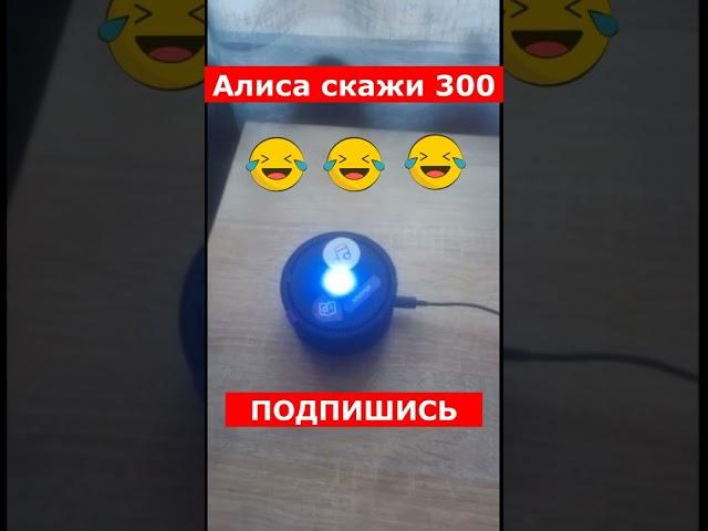 Алиса скажи 300