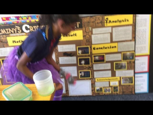 Grade 6 Master Scientists Tara Raman and Amber Katz experiment with bouncing bubbles