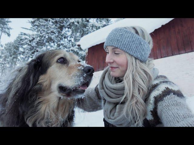 My Quiet Life with Nanook in the Frozen North