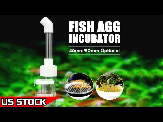 Aquarium Fish Egg Tumblers Hatchery Incubators | Cichlid Egg Incubator- from senzeal.com