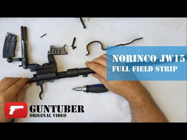 Norinco LEGEND JW-15A .22LR - Complete disassembly and reassembly (complete field strip)