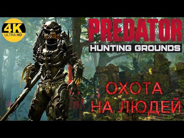 Predator Hunting GroundsИГРА ЖИВА! АЛЬФА - ХИЩНИК В ДЕЛЕ! ОХОТА НА ЛЮДЕЙ! Патч/ Patch 2.23 4K