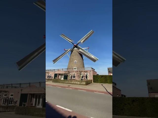 Molen de reus Gennep