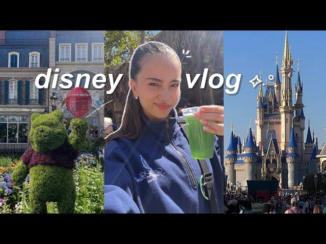 DISNEY WORLD VLOG | 4 parks in 2 days 