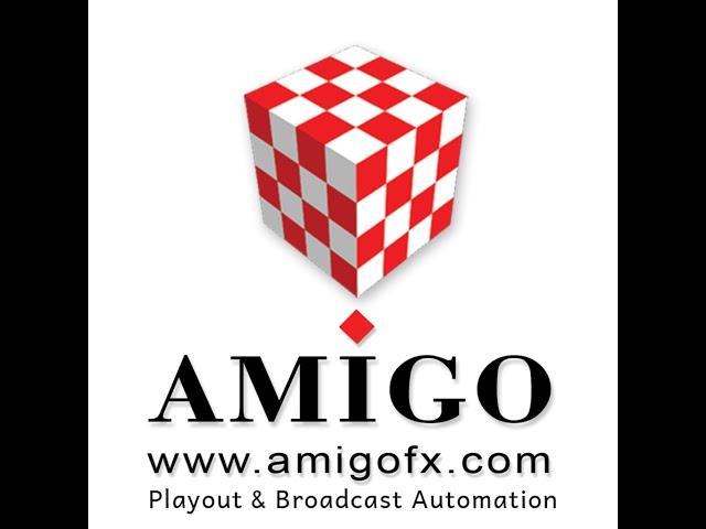 amigofx Live Stream