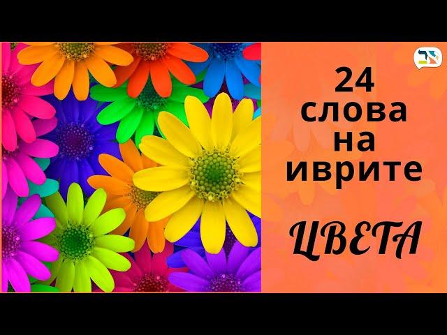 24 слова на иврите  Цвета на иврите  Как выучить иврит: ЦВЕТА  Изучение иврита