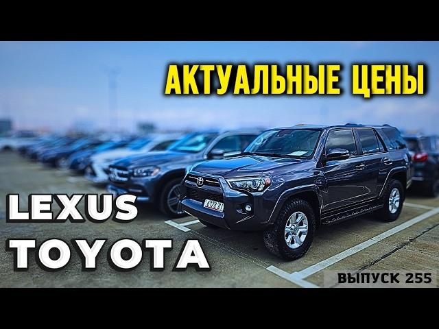 Обзор цен на Lexus и Toyota рынок AUTOPAPA. Авто из США. Копарт. ИААИ #automobile #mastervadya #top