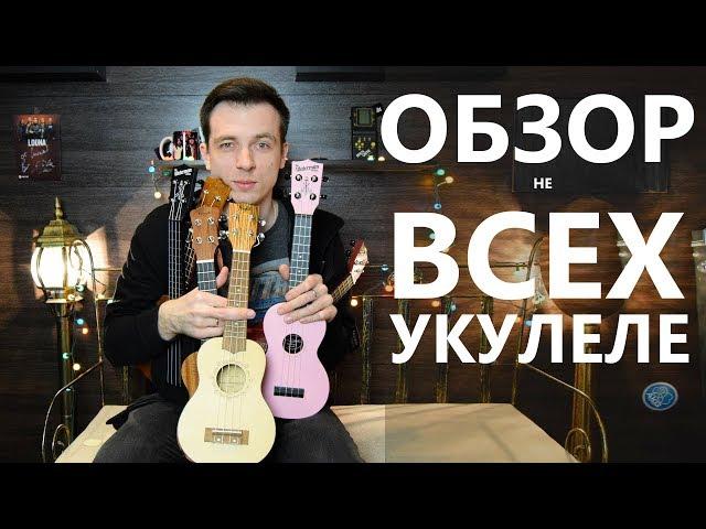 ОБЗОР ВСЕХ УКУЛЕЛЕ! ВЫБИРАЕМ ЛУЧШУЮ!