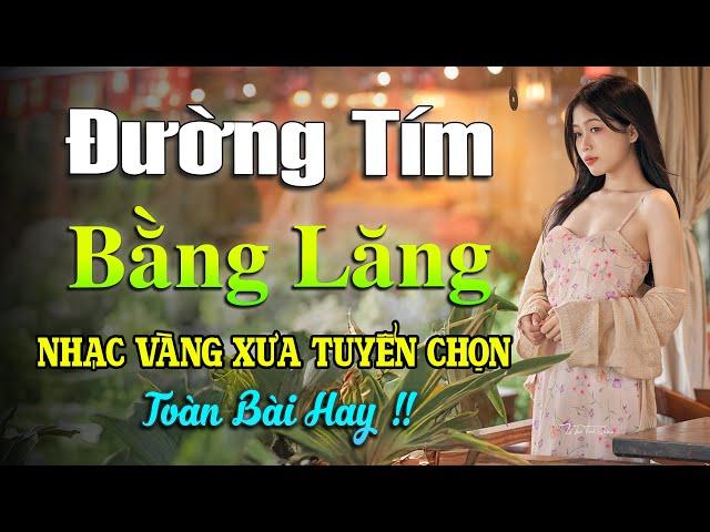 ĐƯỜNG TÍM BẰNG LĂNG, ĐÔI MẮT NGƯỜI XƯANHẠC VÀNG TRỮ TÌNH HẢI NGOẠI BOLERO TUYỂN CHỌN HAY NHẤT 2024