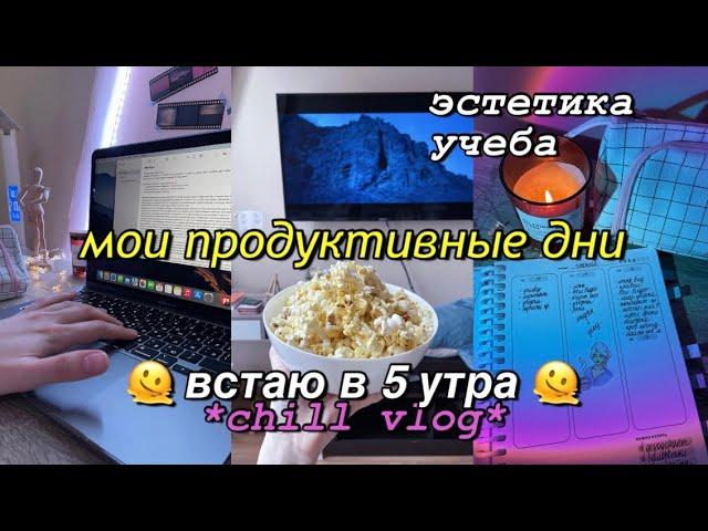 Мои продуктивные дни | ПОЛИНА ПИРОГ