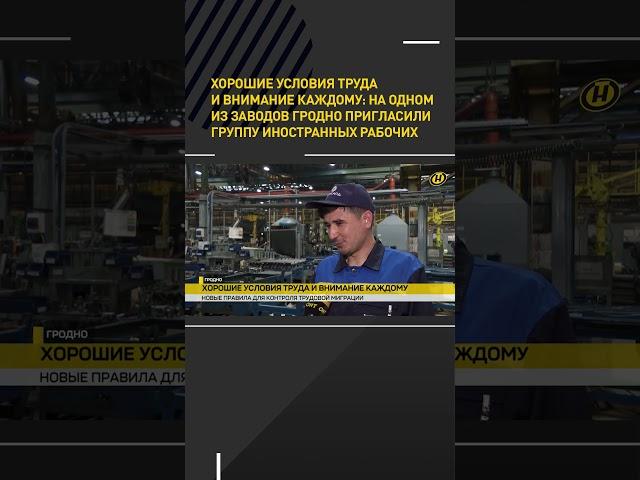 Трудовые мигранты в Беларуси: внимание каждому #shortvideo #беларусь #новости #онт