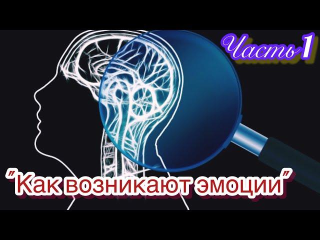 Тайны человеческого мозга, как возникают эмоции ЧАСТЬ 1