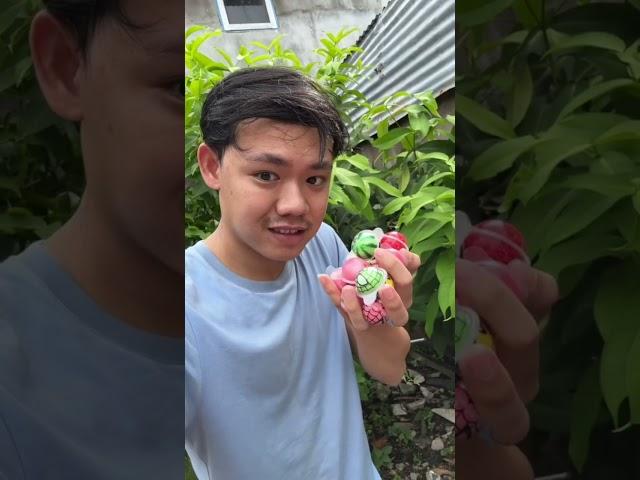 tanam 10 permen viral - tiktok Susanto Gouw #shorts