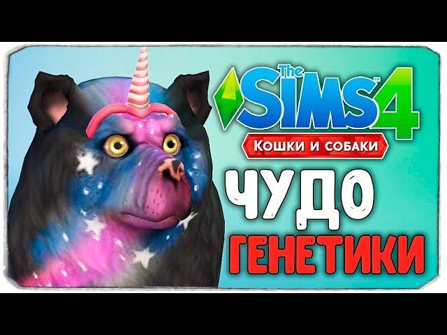 ЧУДО ГЕНЕТИКИ, УГАРНЫЕ СОБАКЕНЫ - The Sims 4 "Кошки и Собаки"