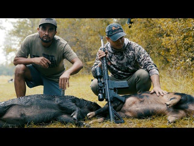 Emocionante Caza de Puercos y Venado