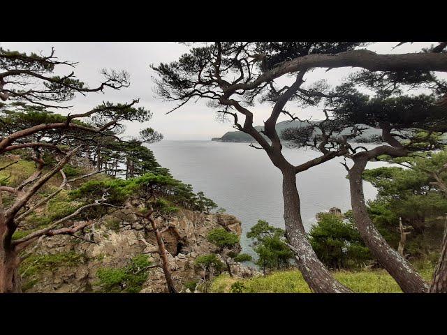 Полуостов Гамова. Дальневосточный морской заповедник. Мыс Астафьева./Gamow Peninsula