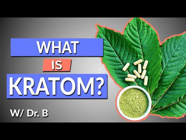 What is Kratom? | Complete Drug History and Uses | W/ Dr. B