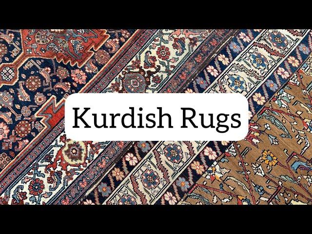 Kurdish Rugs in Chicago | Tribal Rugs for Your Home #orientalrugs #persianrugs #kurdish #ruglove