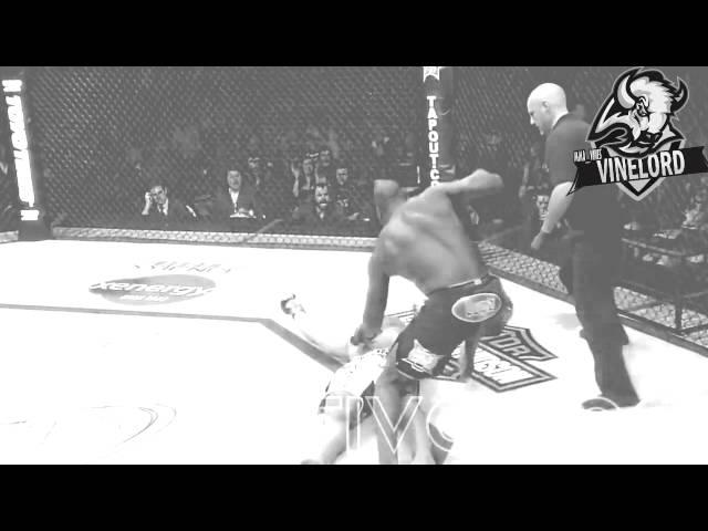 MMA VINES #51 / by Vinelord