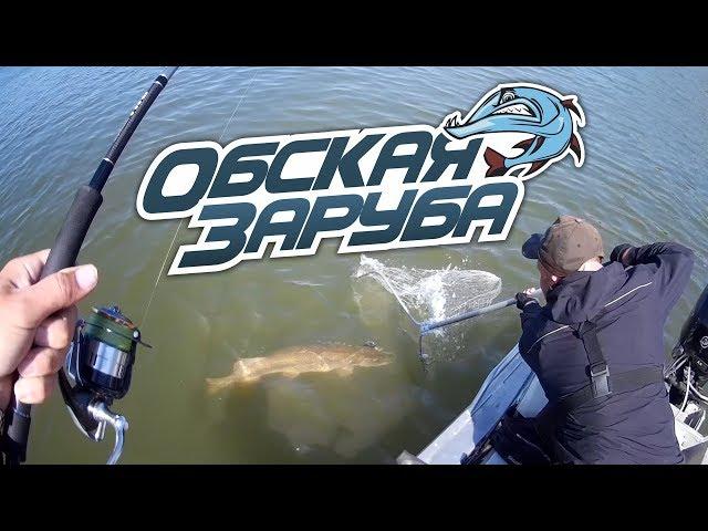 Обская заруба 2018 - Итоговый фильм | Рыбалка с FishingSib