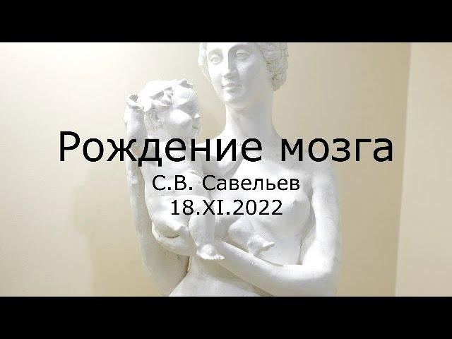 С.В. Савельев - Рождение мозга