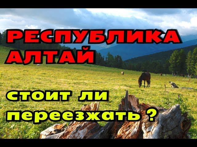 ПЕРЕЕЗД В ГОРНЫЙ АЛТАЙ//ПЛЮСЫ И МИНУСЫ РЕГИОНА