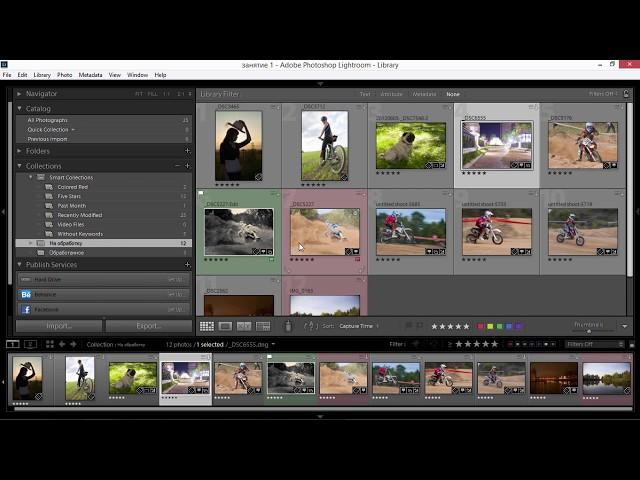Удаление фотографий в лайтрум. Работа с фильтрами. Коллекции. Умные коллекции в Adobe Lightroom