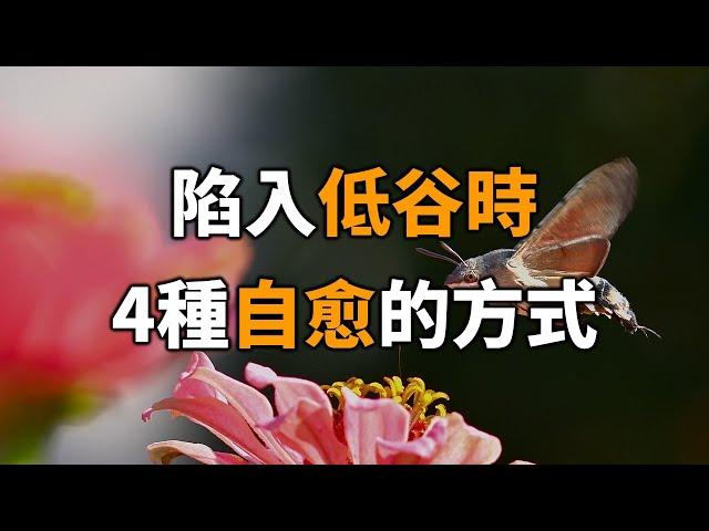 2024 陷入低谷時，4種自愈的方式！再忙也要花時間看看 4 ways to heal yourself when you hit a trough!【愛學習 】