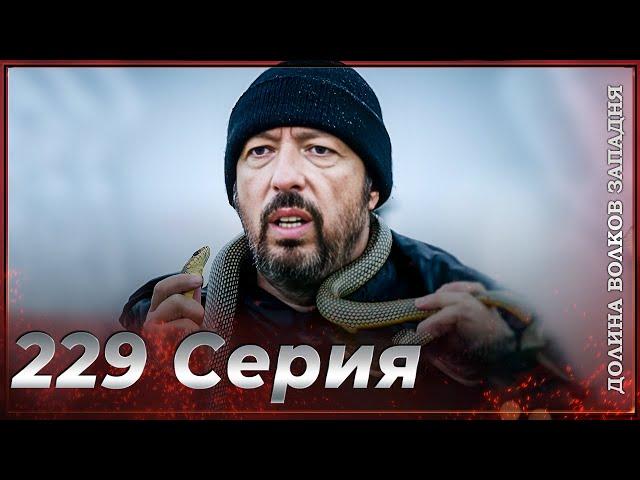 Долина Волков Западня | Эпизод 229 ПОЛНЫЙ HD