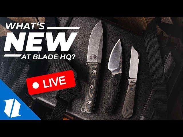 Fixed Blades Mania! | New Knives LIVE 6.10.24