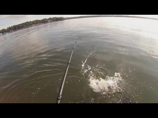 Pewaukee Lake Musky September 2018