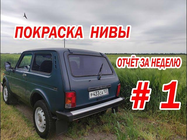 Покраска Нивы. Отчёт за неделю.