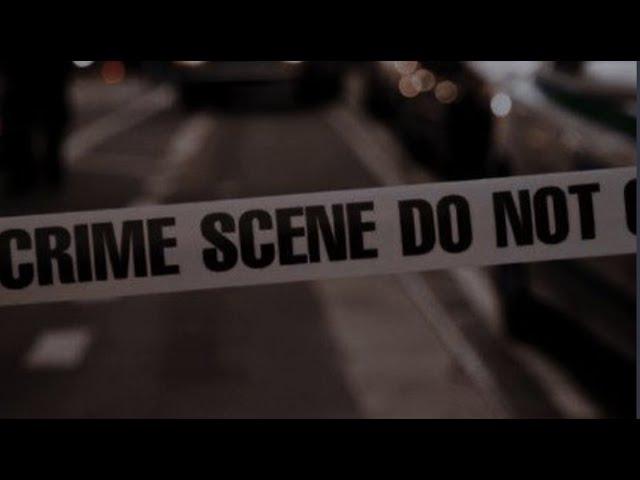 you're investigating the biggest crime scene in a century (a playlist)