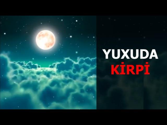 Kirpi gormek yuxuda nece yozulur. Yuxuda kirpi gormek