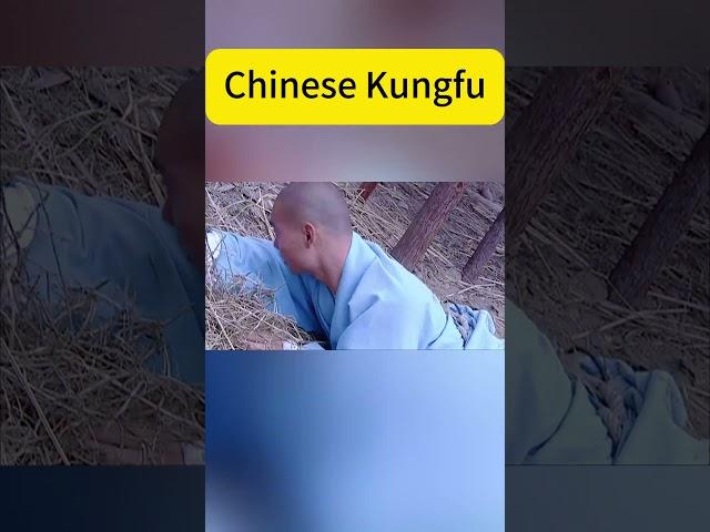 #ChineseKungfu #shaolin #kungfu #功夫大師 #少林功夫