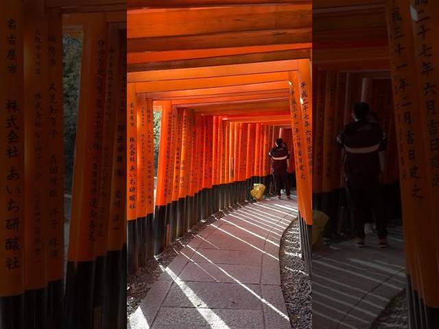 Visiting Japan's most famous Shrine, Fushimi Inari️