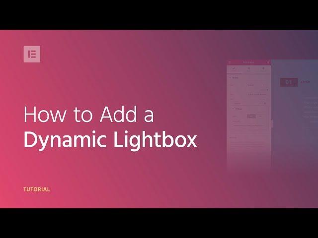 How to Add a Dynamic Lightbox to Your WordPress Website