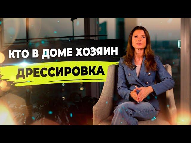 Топ 5 команд собаки. Дрессировка собак. Генетика щенков.