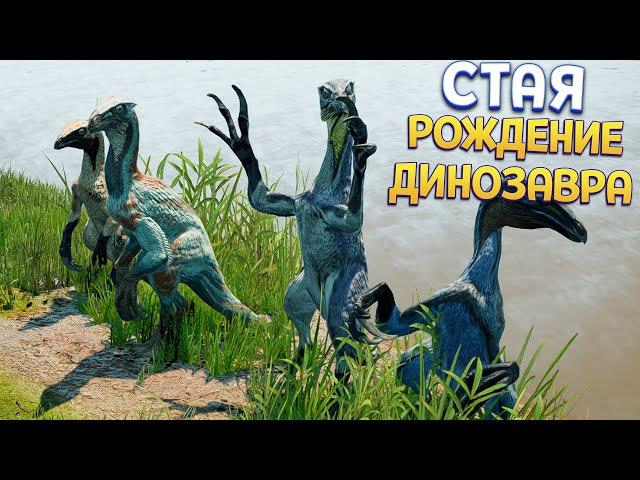 СТАЯ РОЖДЕНИЕ ДИНОЗАВРА ( The Isle EVRIMA )