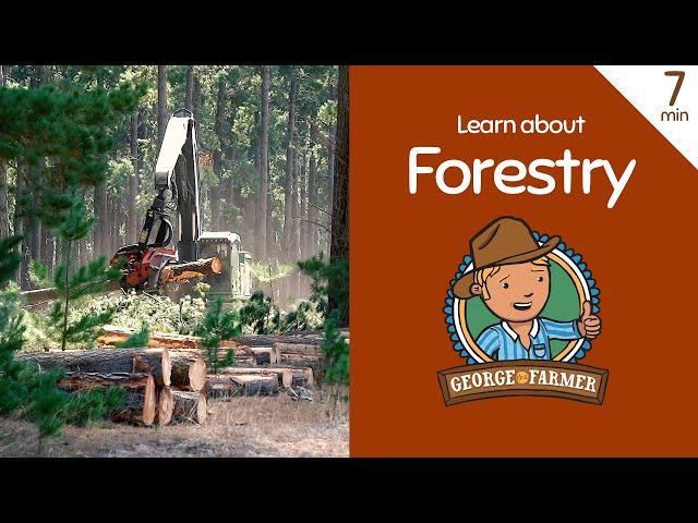 Forestry with George the Farmer