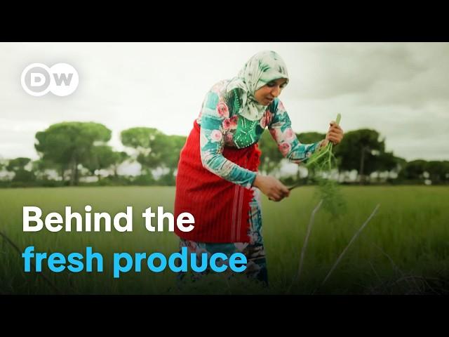 Picking for Europe: The harsh realities of migrant farm workers | DW Documentary