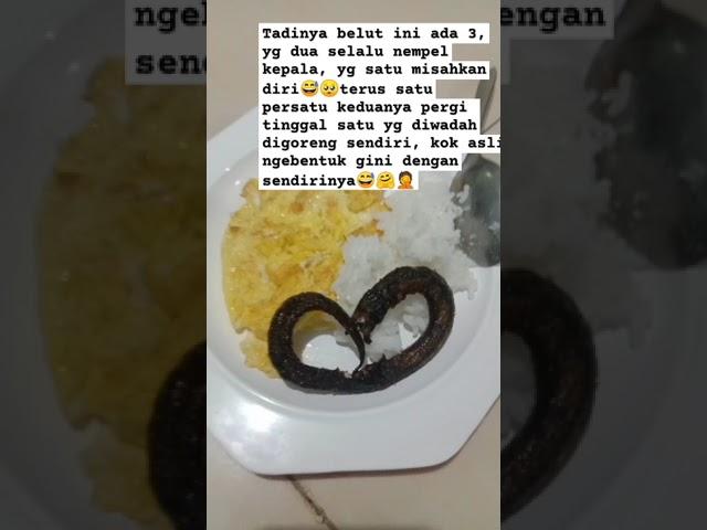 menu sarapan belut cinta  asupan energi sepanjang hari#belut #lindung #just for laugh