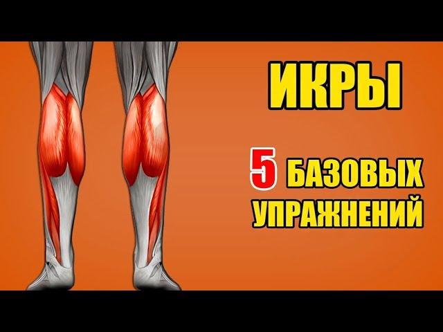 ИКРЫ. 5 базовых упражнений. Техника / Биомеханика - Икроножные мышцы