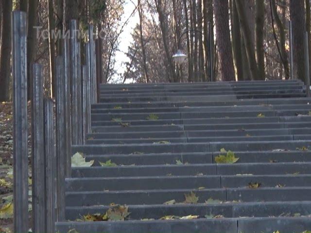 Добро пожаловать в Томилинский лесопарк по новым ступеням