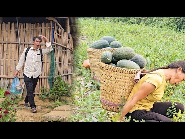 Watermelon harvest pellets. Tam returned after a period of work. Will Vien and Tam meet each other?