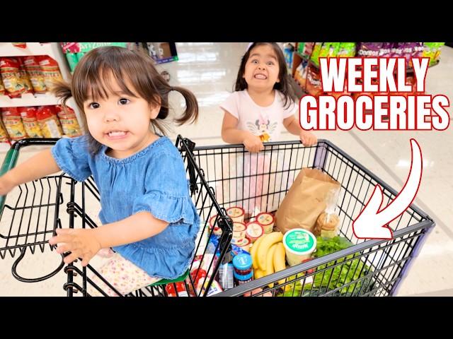 Girls Go Grocery Shopping With Me | Weekly Buys