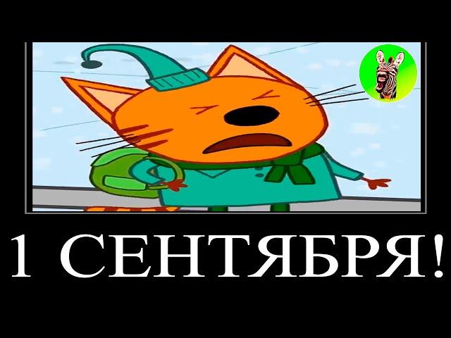 МУД ТРИ КОТА ДЕМОТИВАТОР 152 | 1 СЕНТЯБРЯ!