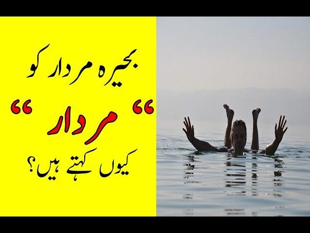 Truly Facts About The DEAD SEA | Hamari Dunya